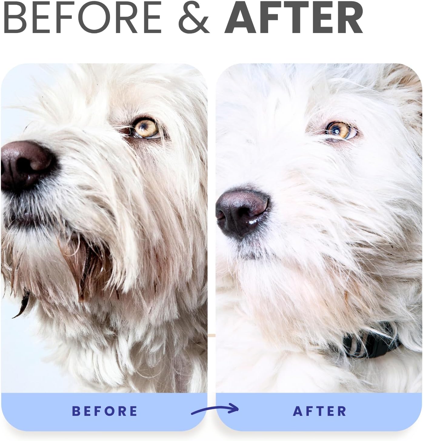 PRO Formula Berry Blue Brightening Pet Shampoo - Ultra-Hydrating Professional Whitening Dog Shampoo, Vivid Show-Quality Coat Enhancer, Tear Stain & Odor Eliminator with Provitamin B5 16Oz